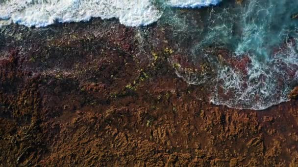 Pristine Rocky Volcanic Barren Coastline Turquoise Ocean Water White Foaming — Αρχείο Βίντεο