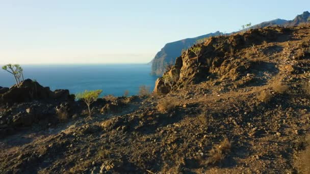 日没の光は急なロサンゼルス ギガンテスを照らす暗い青深い海の水で岩だらけの不毛の火山の山を登る 岩場のシルエット 大自然の海 パラダイス島テネリフェ島 — ストック動画