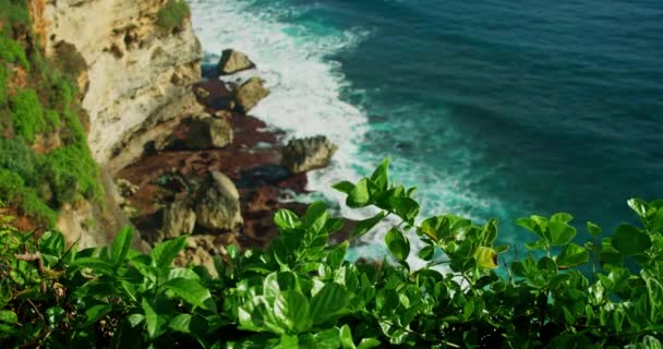 轻松自在的海景 绿松石般宽的浪花在岩石悬崖峭壁上翻滚 蓝色水晶般清澈 宁静的绿色自然背景 热带植物在前景中 没人平静的生活 — 图库视频影像