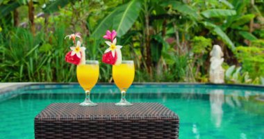 Orange juice cocktails with plumeria flowers stand close-up to swimming pool blue water background. Green lush rainforest, palm trees. Vacation weekend relax holiday concept.