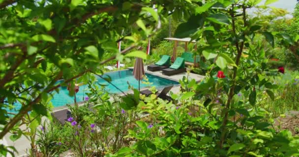 熱帯林のヤシの木を背景にプールでサンラウンジャー付きのリラクゼーションエリア リゾート週末休暇のコンセプト ここにいろ — ストック動画