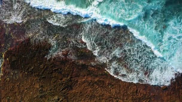 Ocean Waters Washing Volcanic Rocky Rough Beach Waves Crashing Coastal — Video Stock