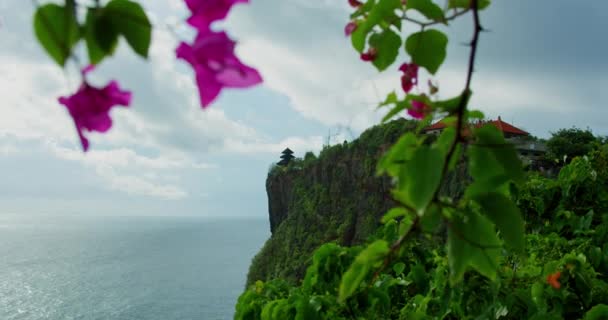 インドネシアのバリにあるPura Luhur Uluwatu寺院の曇りの日 エキゾチックな植物と美しい巨大な崖 青いインド洋に対する赤いマゼンタの花 有名な歴史的なバリの記念碑 スローモーション — ストック動画