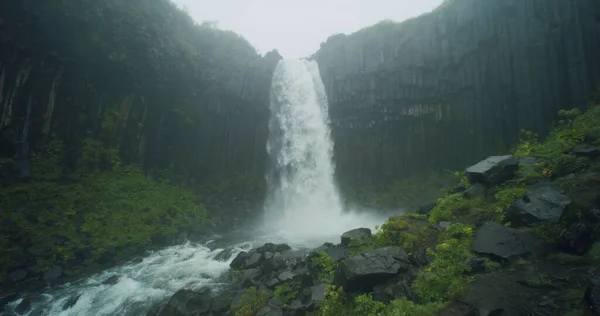 Svartifoss Καταρράκτη Στην Ισλανδία Γνωστό Black Falls Και Βρίσκεται Στο — Φωτογραφία Αρχείου