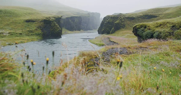 Каньон Фьядлуфур Странные Крутые Скальные Образования Ветреная Горная Река Исландии — стоковое фото
