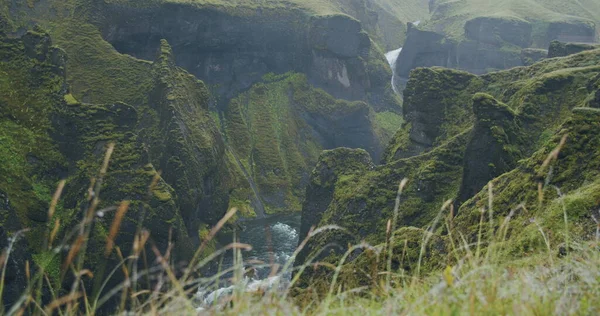 Kanion Fjadrargljufur Bizarre Strome Skały Klifowe Kręta Rzeka Dolinie Islandia — Zdjęcie stockowe
