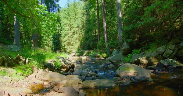 Ποτάμι Του Βουνού Μια Ηλιόλουστη Καλοκαιρινή Μέρα Φυσικό Τοπίο Πράσινο — Φωτογραφία Αρχείου