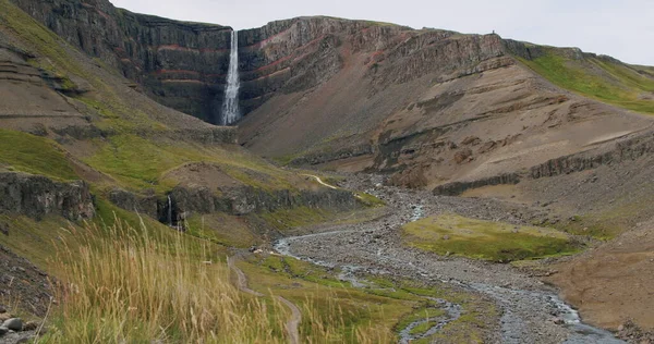 Wodospad Hengifoss Liśćmi Pierwszym Planie Wschodnia Islandia — Zdjęcie stockowe