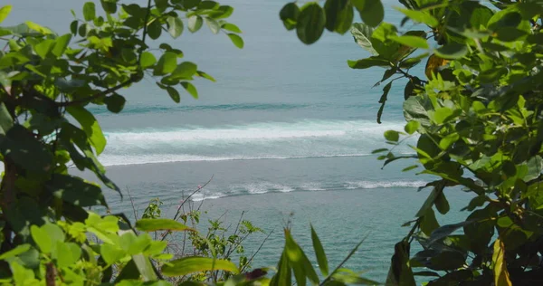 Vue Travers Les Buissons Verts Mer Azur Green Bowl Beach — Photo