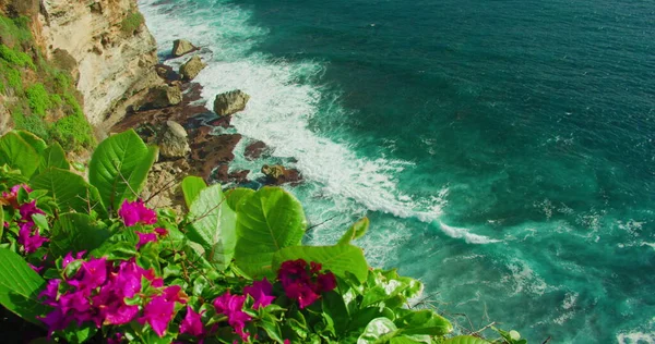 晴れた夏の日に透明な青い水と前景に明るいピンクの花を持つロッキービーチの海の湾 石灰岩の岩で海の波がクラッシュします 静的なクローズアップ映像 自然と景観 — ストック写真