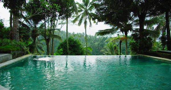 Erstaunliche Exotische Garten Mit Palmen Rund Tropischen Pool Grüner Ruhebereich — Stockfoto