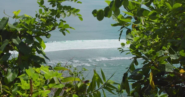 Vista Través Los Arbustos Verdes Hasta Mar Azul Playa Green — Foto de Stock