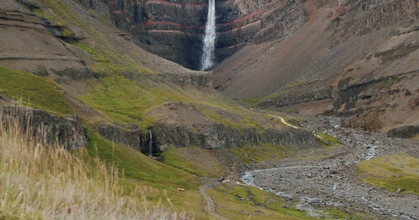 Cachoeira Hengifoss Com Folhagem Primeiro Plano Leste Islândia — Fotografia de Stock
