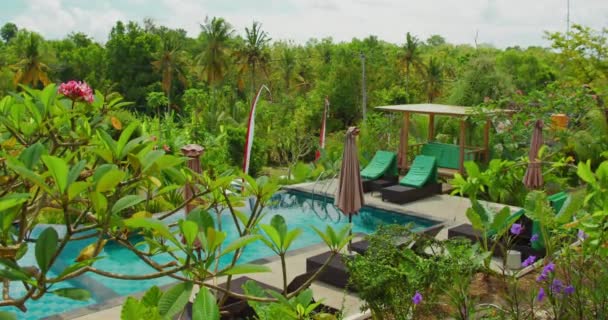Relaxation Area Sun Loungers Pool Background Tropical Forest Palm Trees — Stockvideo