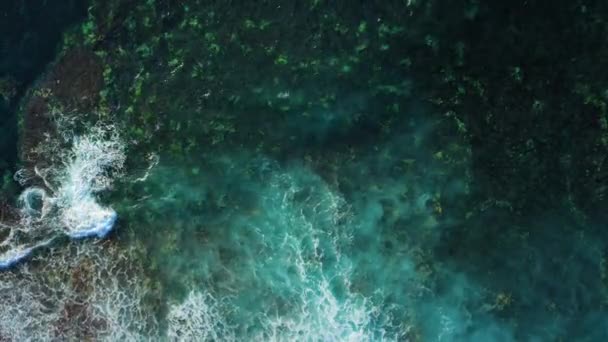 Ocean Waters Washing Volcanic Rocky Rough Beach Waves Crashing Coastal — Stok video