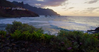 Beautiful golden sunset at the north of tenerife, Atlantic Ocean, Almaciga black sandy beach. Twilight. Flowers and green plants in the foreground.