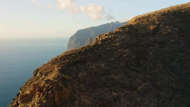 Desert Volcanic Mountains Form Coastline Tenerife Canary Islands Spain Los — Wideo stockowe