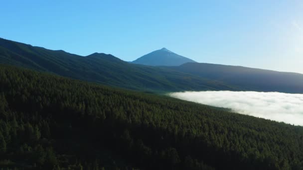 Nekonečná Údolí Pokrytá Jehličnatým Borovým Lesem Horskou Krajinou Mraky Úpatí — Stock video