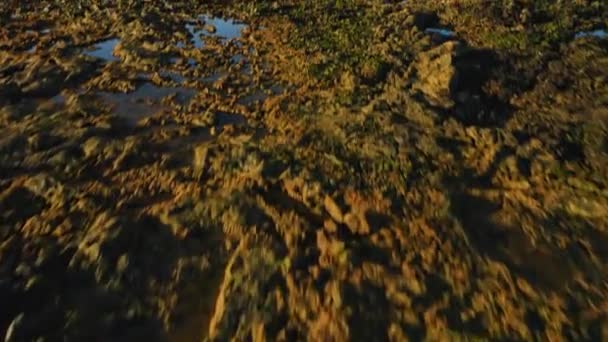 Beautiful Cinematic Aerial View Black Volcanic Rocky Beach Punta Blanca — Vídeos de Stock
