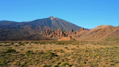 Volcanic nature landscape in Teide National Park. Volcano and Pico del Teide in Tenerife, Spain. Local cactus bushes in the foreground. Deserted valley.