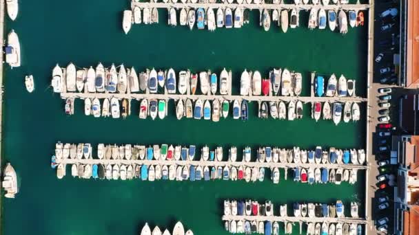 Вид Сверху Причальные Парусники Яхты Лодки Гавани Лос Фалантес Пуэрто — стоковое видео
