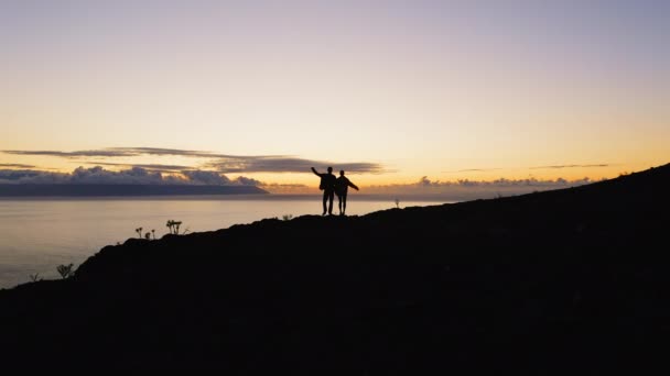 Couple Team Silhouette Two Tourists Climbed Top Mountain Raised Hands — Vídeos de Stock
