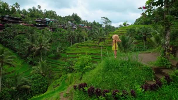 Travel Woman Rice Paddy Hat Explore Lush Green Rice Terraces — Stockvideo