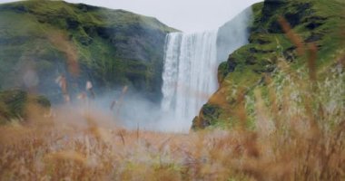 İzlanda Skogafoss şelalesi ön planda çözünmüş yapraklarla