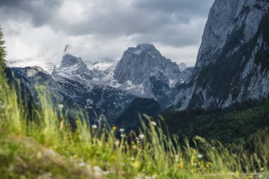 Dachstein Zirvesi sıradağları ve yazları Gosau, Yukarı Avusturya, Avrupa 'da görünen buzullar.