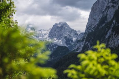 Dachstein Zirvesi sıradağları ve yazları Gosau, Yukarı Avusturya, Avrupa 'da görünen buzullar.