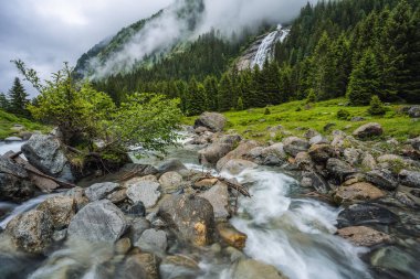 Dağ mavisi su nehri ve ağaçlar doğal çevre. Alplerde yürüyüş. Grawa Şelalesi Stubai Vadisi, Tyrol, Avusturya.