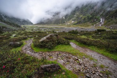 Sarmal deresi ve buzul gölü olan Alp Dağı Vadisi 'nin yaz manzarası. Sulzenau Alm, Stubai Alpleri, Avusturya.