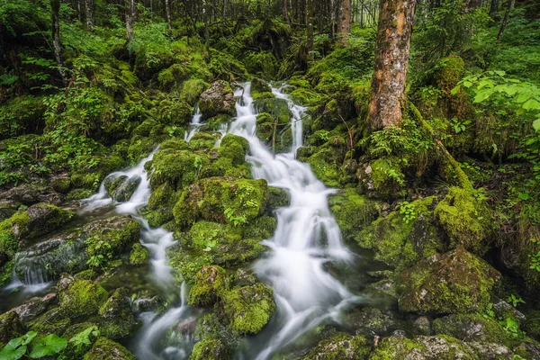 Flusso Nella Foresta Ramsau Berchtesgaden Baviera Germania Europa — Foto Stock