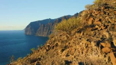 Sahil şehri Puerto Santiago ve derin okyanus sularında Los Gigantes uçurumları. Ünlü turist merkezi. Tenerife.