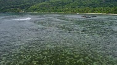 Mahe Adası, Seyşeller. Ormanla çevrili sığ körfezli tropikal Anse Forbans plajının hava manzarası
