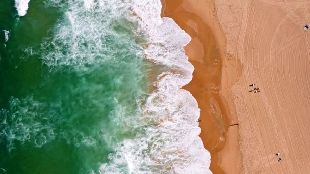 Top Aerial View Waves Break Tropical Yellow Sand Beach Birds — Stock Video