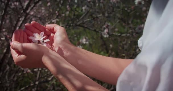 Mãos Femininas Segurando Flores Primeira Primavera Close Cuide Proteção Ambiental — Vídeo de Stock