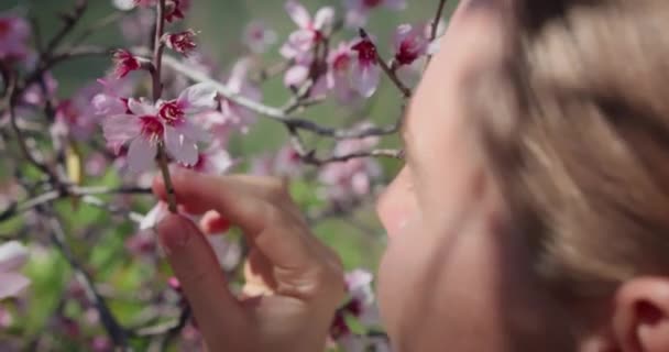 在特写镜头下 女人闻到了粉色和白色樱花的香味 季节性过敏的概念 嗅觉丧失 病毒性疾病后的芳香疗法与厌食症的治疗 — 图库视频影像