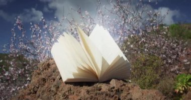Open book in spring blooming garden with white flowers close-up. World poetry day. Reading education knowledge concept. Pages glow with rays of light.