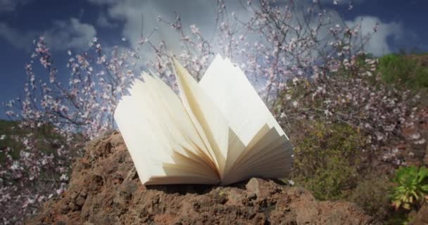 Open Book Spring Blooming Garden White Flowers Close World Poetry — Vídeos de Stock