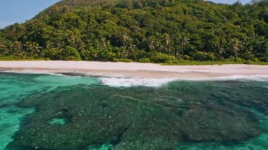 Beyaz kumsal ve palmiye ağaçlarıyla tropik adanın havadan görünüşü. Yaz tatili, seyahat ve yaşam tarzı konsepti.