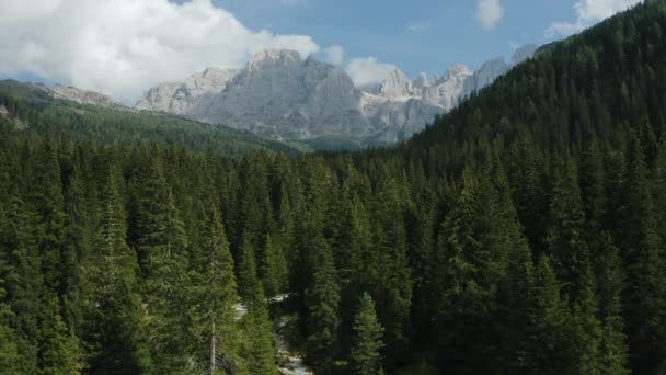 Widok Powietrza Nad Val Tires Catinaccio Torri Del Vajolet Rosengarten — Wideo stockowe