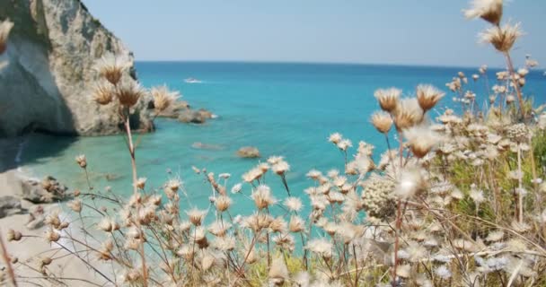 乾燥した植物や青い地中海沿岸 背景にブルーターコイズ色のラグーン レフカダ イオニア諸島 ギリシャ — ストック動画