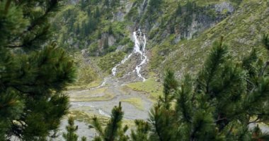 Stubai, Avusturya. Köknar ağacı dalları tarafından çerçevelenmiş yüksek alplerdeki Alp Şelalesi