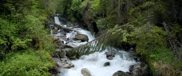 Bela Floresta Alpina Rio Neaer Grawa Cachoeira Stubai Áustria — Vídeo de Stock