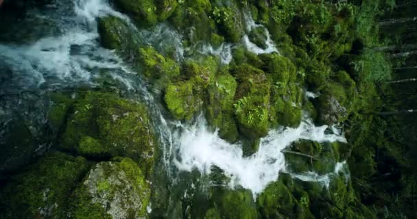 Alpský Potok Mechové Kameny Lesích Dešti Jižní Bavorsko Německo — Stock video