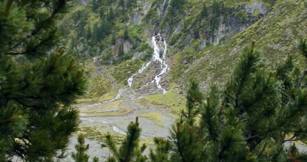 Stubai Áustria Cachoeira Alpina Altos Alpes Emoldurados Por Ramos Abeto — Vídeo de Stock