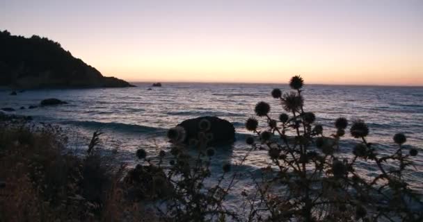 Όμορφη Αργή Κίνηση Του Χόρτου Και Κύματα Της Θάλασσας Βράδυ — Αρχείο Βίντεο