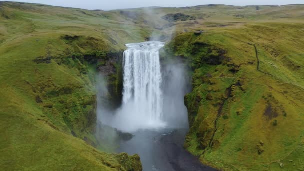 夏には南アイスランドのスコガフォスの滝の上を空中円が飛んでいます 人気の観光名所 — ストック動画