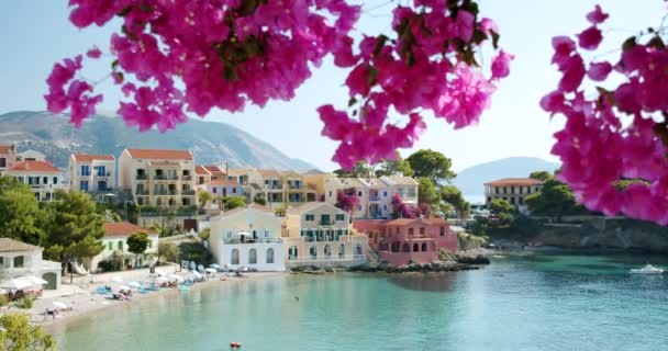 Prachtig Klein Assos Dorp Kefalonia Island Griekenland Bloesem Voorgrond Top — Stockvideo
